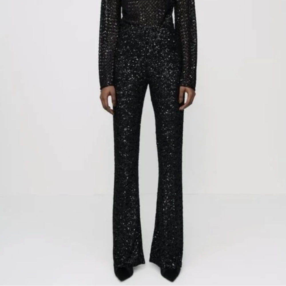 Zara Full Length Sequin Flared Pants